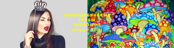 МДМА Аркадак