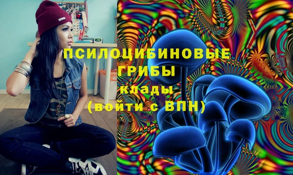 круглые Арсеньев