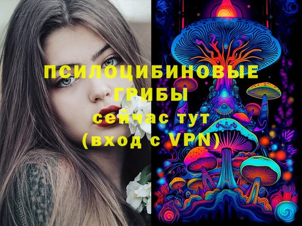 круглые Арсеньев